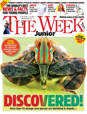 Cover of The Week - Junior