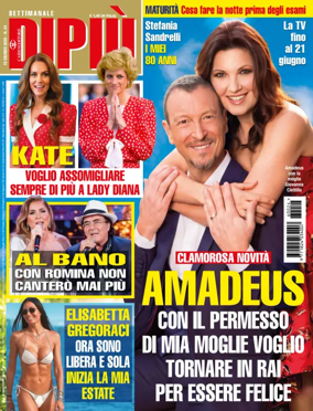 Cover of DIPIU