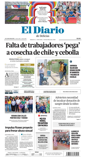 Cover of El Diario de Delicias