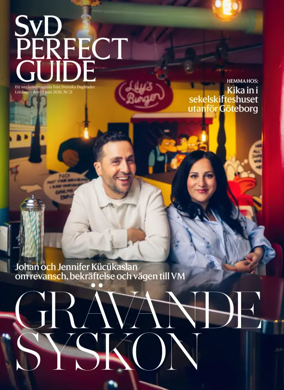 Cover of SvD Perfect Guide