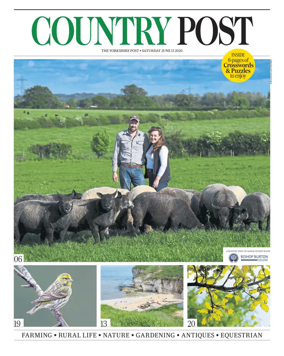 Cover of Country Week
