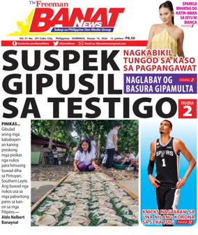 Cover of Banat News