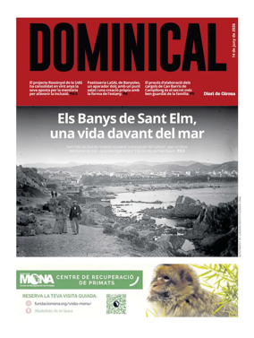 Cover of Dominical