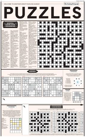 Cover of Puzzles
