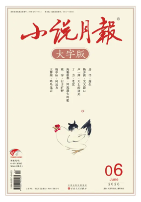Cover of Fiction Monthly Large Print