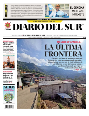 Cover of Diario del Sur