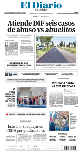 Cover of El Diario de Delicias