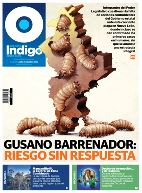 Cover of Reporte Indigo Monterrey