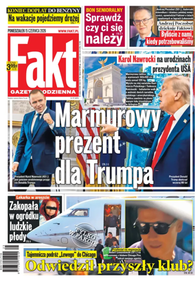 Cover of Fakt
