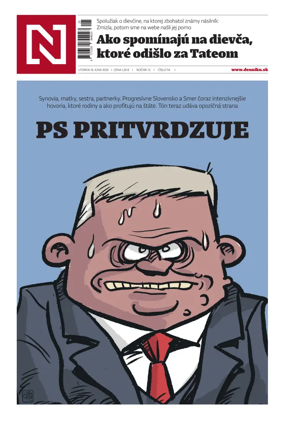 Cover of Dennik N