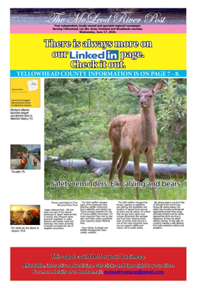 Cover of The McLeod River Post