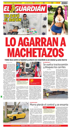 Cover of El Guardian