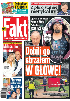 Cover of Fakt
