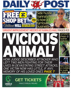 Cover of Daily Post (North Wales)