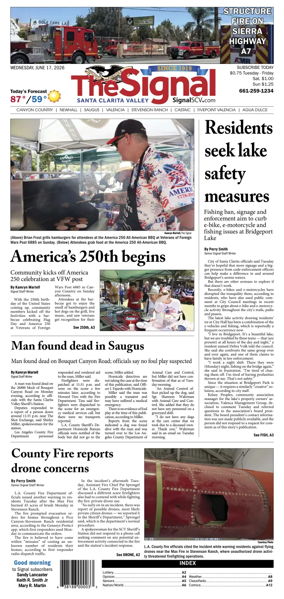 Cover of The Signal