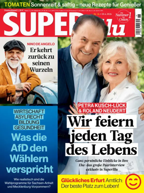 Cover of SuperIllu