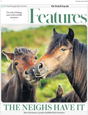 Cover of Features