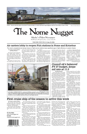 Cover of The Nome Nugget