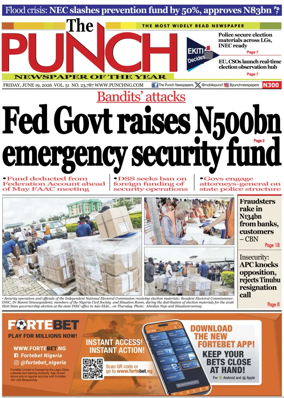 Cover of The Punch