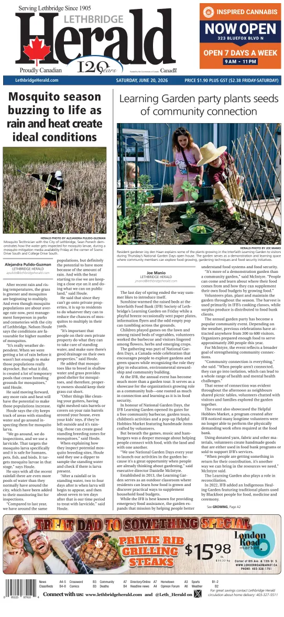 Cover of Lethbridge Herald