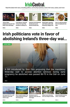 Cover of Irish Central