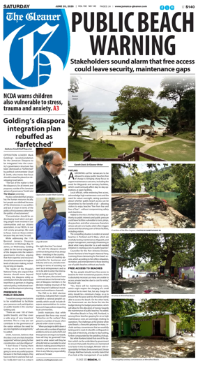 Cover of The Gleaner