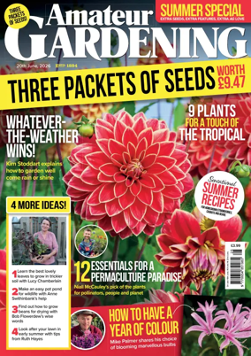 Cover of Amateur Gardening