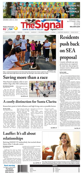 Cover of The Signal