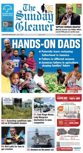 Cover of The Gleaner
