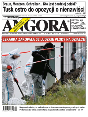 Cover of Angora
