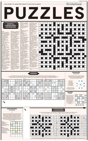 Cover of Puzzles