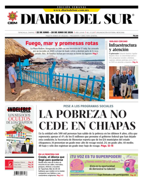 Cover of Diario del Sur