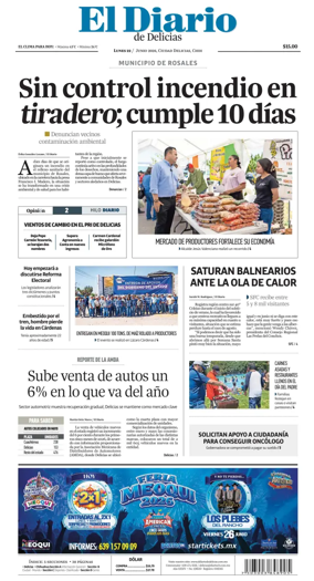 Cover of El Diario de Delicias