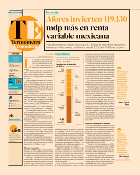 Cover of Termometro Economico