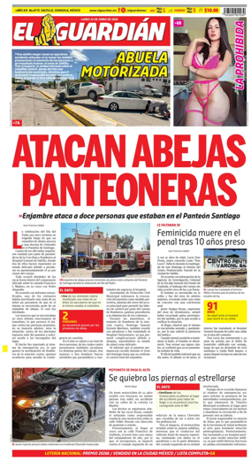 Cover of El Guardian