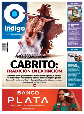 Cover of Reporte Indigo Monterrey