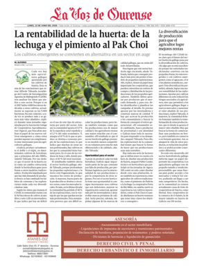 Cover of Ourense local