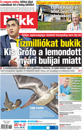 Cover of Blikk