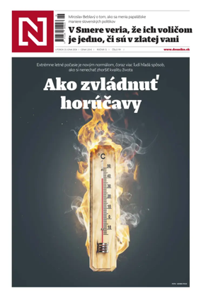 Cover of Dennik N