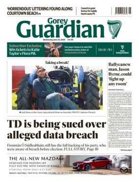 Cover of Gorey Guardian
