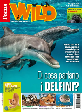 Cover of Focus Wild