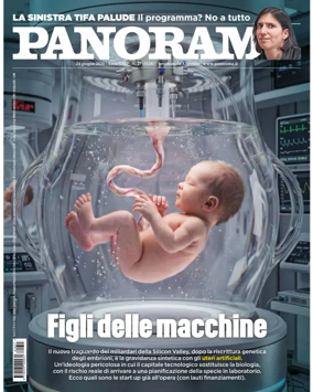 Cover of Panorama