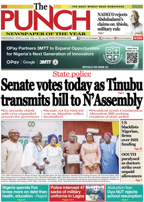 Cover of The Punch