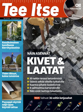 Cover of Tee Itse