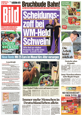 Cover of BILD Mecklenburg