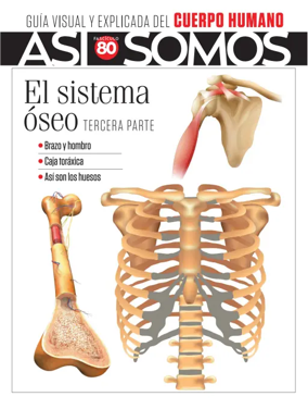 Cover of Asi Somos