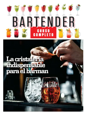 Cover of Bartender