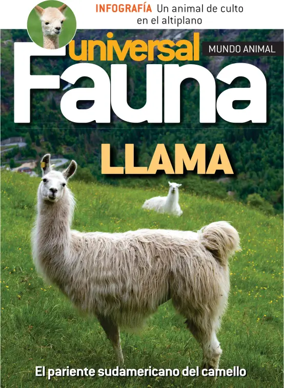 Cover of Fauna universal