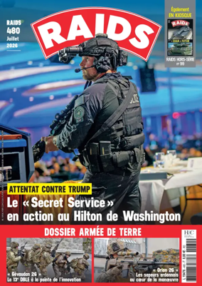 Cover of RAIDS