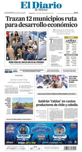 Cover of El Diario de Delicias